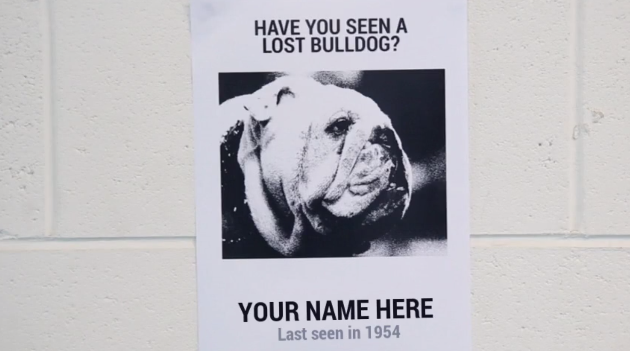 Are you a lost Bulldog?