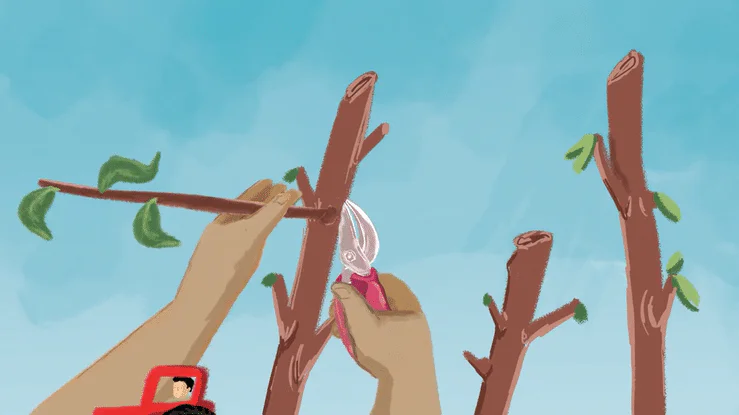 Animation of Cherry Hill Orchards